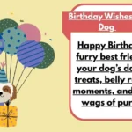 Birthday Wishes For Dog